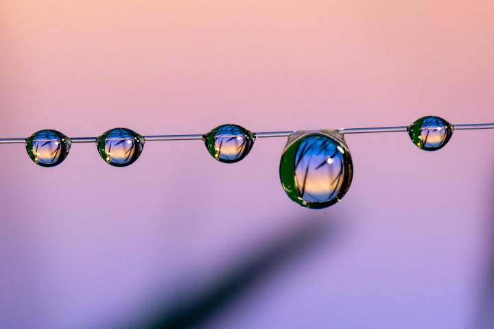 Social Media Ad Campaign